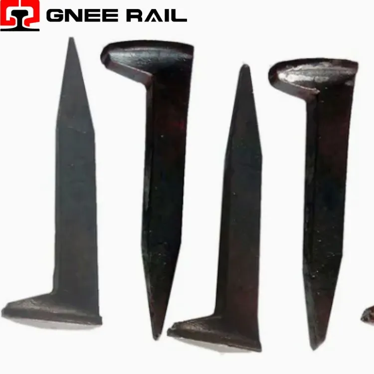 Système de pointes pour chiens