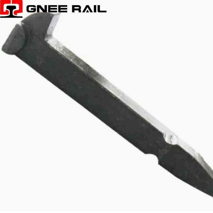 Pointes pour chiens au prix le plus bas