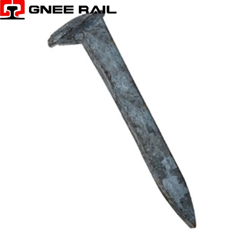 Pointe de chien de piste